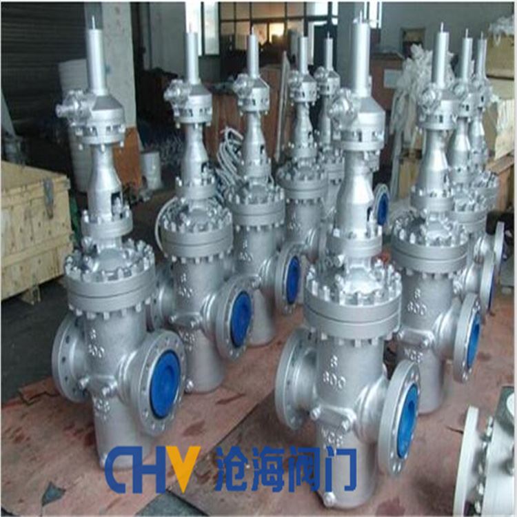 CHVJ滄海Z543WF/Y-63齒輪傳動(dòng)大口徑平板閘閥